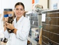 Female volunteer standing in animal shelter with small kitten