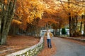 Smiling young man stands with his hands on his hips on the road in the autumn park Royalty Free Stock Photo