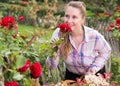 young woman with long curly hair smells roses flower outdoor