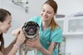 Smiling young veterinary doctor and girl stroking pug at hospital Royalty Free Stock Photo