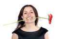 Smiling young woman in black dress holds a gerbera flower in teeth, isolated over white background Royalty Free Stock Photo