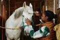 Smiling Young Woman Grooming Horse Royalty Free Stock Photo