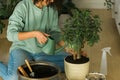 Smiling young woman and pot with plant happy work in indoor garden or cozy home office with different houseplants. Happy Royalty Free Stock Photo