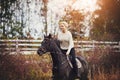 Young woman riding her horse through a pasture in autumn Royalty Free Stock Photo