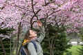 Smiling young woman tourist near blossoming sacura tree touching twig, pink purple cherry flowers spring bloom