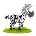 Smiling zebra in the savanah Royalty Free Stock Photo