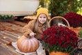 Smilling Child in autumn garden with yellow pumpkins and flower. Happy little girl sitting on porch of house with chrysanthemums p Royalty Free Stock Photo