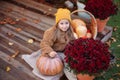 Smilling Child in autumn garden with yellow pumpkins and flower. Happy little girl sitting on porch of house with chrysanthemums p Royalty Free Stock Photo