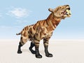 Smilodon Royalty Free Stock Photo