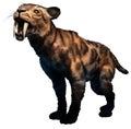 Smilodon Royalty Free Stock Photo