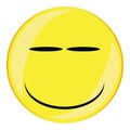 Smirk Smile Face Button Isolated