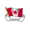 Smirking canadian flag fluttering on mascot pole