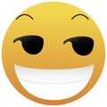 Smirking Emoji. A yellow face with a sly, smug, mischievous, or suggestive facial expression. A half-smile raised eyebrows, and Royalty Free Stock Photo