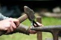 Smith at the forge Royalty Free Stock Photo
