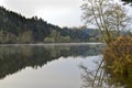 Tree Reflecting On Smith River