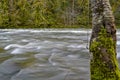 Smith River Flowing in Oregon