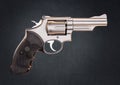 Smith & Wesson 357 Magnum Revolver on Grundge Back