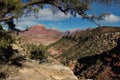 Tree Framed View of a Deep Valley to the Majestic Mount Kinesava in Zion National Park. Royalty Free Stock Photo