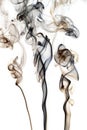 Smoke abstract streams