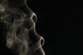 Beautiful shape of smoke, abstract, close up delicate form. Royalty Free Stock Photo