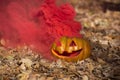 Smoke bomb Halloween pumpkin. Forest Royalty Free Stock Photo