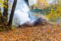 Smoke from burning autumn leaves in the Park. Selective soft focus Royalty Free Stock Photo