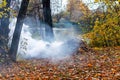 Smoke from burning autumn leaves in the Park. Selective soft focus