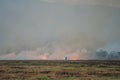 Smoke from burning. Farmers burn rice straw to prepare to plant rice for the next season. Toxic effect resulting from burning of