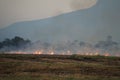 Smoke from burning. Farmers burn rice straw to prepare to plant rice for the next season. Toxic effect resulting from burning of Royalty Free Stock Photo