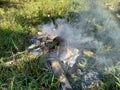 smoke from burning garbage which is one of the causes of global warming Royalty Free Stock Photo