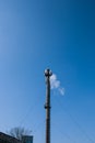 Smoke from the chimney of a chemical plant against the blue sky. The problem of environmental pollution. Ecology concept Royalty Free Stock Photo