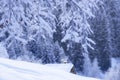 smoke from the chimney of small wooden house in a snowy winter mountain forest Royalty Free Stock Photo