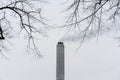 Smoke from industrial chimney with tree in foreground