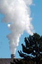 Pollutant emissions in the industry