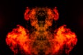 Smoke of different orange and red colors in the form of horror in the shape of the bulls head, face and eye with wings on a black Royalty Free Stock Photo