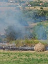 Smoke emission after vegetation fire