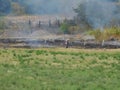 Smoke emission after vegetation fire