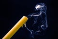 Smoke from an extinguished candle on a dark background. The concept of spirituality and the end of life Royalty Free Stock Photo