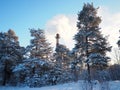 Smoke from a factory chimney. Ecological pollution. Air emissions polluting forest. Industrial waste. Industry Royalty Free Stock Photo