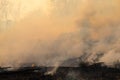 Smoke field after wildfire. Royalty Free Stock Photo