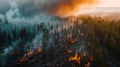 Smoke-filled Forest, Dense Trees Blanketed in Haze