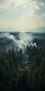 Smoke-filled Forest: A High-definition Wide Shot Of Environmental Activism Royalty Free Stock Photo