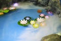 Smoke-filled lotus pool