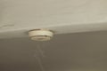 Smoke and fire detector on white ceiling of home with smoke in the foreground. Home or office safety concept. Royalty Free Stock Photo