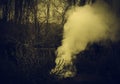 Smoke in the forest Royalty Free Stock Photo