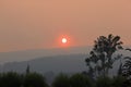 Smoke haze landsape Buxton Victoria Australia Royalty Free Stock Photo