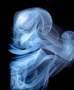 Smoke jellyfish Royalty Free Stock Photo