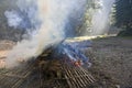 Large brush pile burning with smoke in a forest clearing. Royalty Free Stock Photo