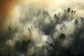 Smoke over the forest, fire in the pine forest, arial view