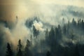 Smoke over the forest, fire in the pine forest, arial view